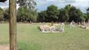 DSCN1357.JPG