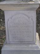 Charles Joseph CONNORS,
second son of H. & A. CONNORS,
died 4 Feb 1902 ages 29 years;
Henry CONNORS,
native of Co. Tipperary Ireland,
died Toowoomba 15 March 1871 aged 40 years;
Meringandan cemetery, Rosalie Shire