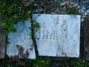 Walter PAGEL
1917 - 1945
JIM
MindenCoolana - St Johns Lutheran