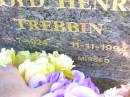 Lloyd Henry TREBBIN, husband father,
18-7-1924 - 11-11-1994;
St Johns Evangelical Lutheran Church, Minden, Esk Shire
