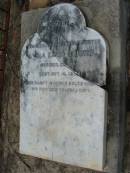 Lydia Emma SOMMER
b: 18 Dec 1890, d: 16 Oct 1895
Mt Cotton Gramzow Cornubia Carbrook Lutheran Cemetery, Logan City
