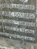 W F SOMMER
24 Nov 1926, aged 78
A F C SOMMER
16 Jan 1926, aged 73
Mt Cotton Gramzow Cornubia Carbrook Lutheran Cemetery, Logan City