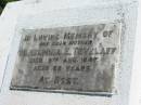 Wilhelmina E TETZLAFF
19 Aug 1947, aged 89
Mount Beppo Apostolic Church Cemetery