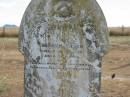 Wilhelm WEBER
19 Apr 1895
56 yrs
Mutdapilly general cemetery, Boonah Shire