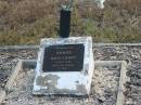 David Henry SHARD
6 Jul 1918
29 years
Mutdapilly general cemetery, Boonah Shire