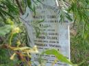 Walter GRAY
17 Jan 1930
aged 84 yrs
wife
Eliza
8 Nov 1890
aged 43
Maud Olive
8 Jan 1901
aged 18
Charles Vivian
4 Mar 1889
aged 4
Philip
16 Jul 1874
aged 6 months
Mutdapilly general cemetery, Boonah Shire