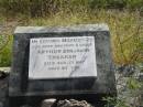 Arthur Benjamin THEAKER
31 Aug 1967
aged 68
Mutdapilly general cemetery, Boonah Shire