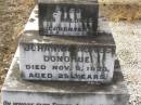David DONOHUE,
died 29 Sept 1936 aged 74 years,
husband father;
Johanna (Josie) Agnes DONOHUE,
died 8 Nov 1923 aged 25 years,
daughter;
Mary DONOHUE,
died 23 Feb 1953 aged 88 years,
mother;
Nobby cemetery, Clifton Shire
