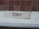 Sydney Ernest (Tiny) BREEZE,
died 24 Nov 1982 aged 71 years;
Nobby cemetery, Clifton Shire