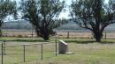 DSCN5934.JPG