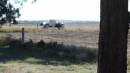 DSCN5937.JPG
