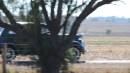 DSCN5969.JPG