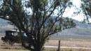 DSCN5981.JPG
