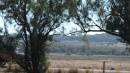 DSCN5983.JPG