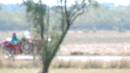 DSCN5988.JPG