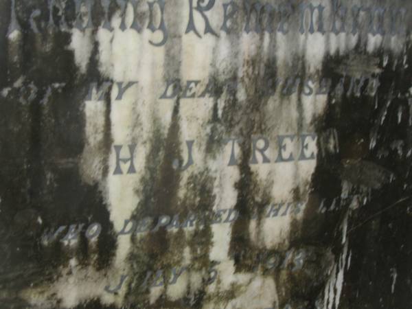 H.J. TREE,  | died 5 July 1913 aged 38 years,  | erected by wife;  | Elizabeth Ann,  | wife,  | aged 77 years;  | North Tumbulgum cemetery, New South Wales  | 