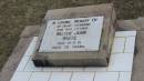 Walter John WHITE
d: 19 May 1971 aged 78
Peak Downs Memorial Cemetery Capella Cemetery