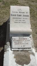 Robert Henry JOHNSON
d: 22 Dec 1914 aged 27 12 years
Eric JOHNSON
d: 26 Nov 1939
aged 21
Peak Downs Memorial Cemetery Capella Cemetery