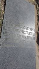 Jane Glec WILLMOTT
d: 5 Sep 1953 aged 61
Peak Downs Memorial Cemetery Capella Cemetery