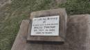 Millie FOSTER
d: 28 Dec 1980 aged 75
Peak Downs Memorial Cemetery Capella Cemetery
