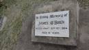 James OBRIEN
d: 30 Oct 1984 aged 81
Peak Downs Memorial Cemetery Capella Cemetery