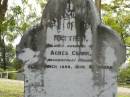 Matthew,
husband of Agnes CLARK,
accidentally killed 30 March 1898 aged 40 years;
Pimpama Uniting cemetery, Gold Coast
