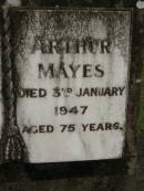 Sarah Ann MAYES,
died 27 May 1945 aged 76 years;
Arthur MAYES,
died 3 Jan 1947 aged 75 years;
Pimpama Uniting cemetery, Gold Coast