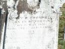 Mary R. ODONNELL,
born D?ndee?n 15 May 1926
died 17 Nov 1878?;
Pine Mountain Catholic (St Michaels) cemetery, Ipswich