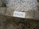 baby ELLIS,
died 13 Nov 1954 aged 11 months;
Silverleigh Lutheran cemetery, Rosalie Shire