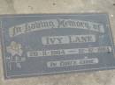Ivy LANE
b: 20 Nov 1904, d: 12 Dec 1983
Stone Quarry Cemetery, Jeebropilly, Ipswich