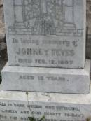 Johney TEVES
12 Feb 1907, aged 12
Stone Quarry Cemetery, Jeebropilly, Ipswich