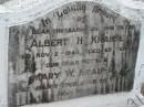 Albert H KRAUSE
2 Nov 1945, aged 65
Mary W KRAUSE
5 Jul 1960, aged 75
Stone Quarry Cemetery, Jeebropilly, Ipswich