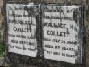 Harriett C COLLETT
11 Mar 1929, aged 67
Wallace H COLLETT
26 Jul 1944, aged 87
Stone Quarry Cemetery, Jeebropilly, Ipswich