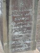 William James DAVISON
6 Aug 1901, aged 19
Robert DAVISON
16 Jan 1923 aged 88
Douglas David LOGAN
b: 11 Nov 1923, d: 15 Oct 1930
(mother)
Jessie DAVISON
5 Jan 1930,aged 70
Stone Quarry Cemetery, Jeebropilly, Ipswich