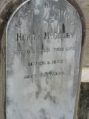 Henry McGEARY
6 Mar 1893, aged 52
Stone Quarry Cemetery, Jeebropilly, Ipswich