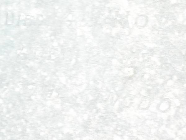 Richard WOOD,  | died 14 June 1887 aged 35 years;  | Amy Lillian WOOD,  | daughter  | died 4 Nov 1889 aged 2 years;  | Swan Creek Anglican cemetery, Warwick Shire  | 