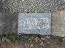 David SALISBURY
18 Jul 1969, aged 71
Dave
Tamrookum All Saints church cemetery, Beaudesert