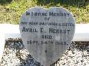 Avril D. HERBST (Baby), daughter sister, died 24 Sept 1945; Tarampa Apostolic cemetery, Esk Shire 