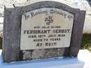 Ferdinant HERBST, father, died 18 July 1939 aged 75 years; Tarampa Apostolic cemetery, Esk Shire 