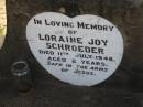 Loraine Joy SCHROEDER
11 Jul 1948 aged 2
Tarampa Baptist Cemetery, Esk Shire