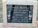Lindsay John BICHEL
2 Aug 1969 aged 16
Tarampa Baptist Cemetery, Esk Shire