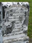 Hannah GEE,
died Bauple 27 March 1897 aged 55 years;
Elizabeth,
child,
died 8 Dec 1873 aged 1 year 8 months;
Arthur,
child,
died 26 June 1881 aged 1 month;
Tiaro cemetery, Fraser Coast Region