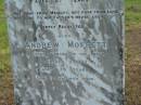 Ann MOFFETT,
wife of A. MOFFETT,
died 30 Nov 1901 aged 67 years;
Andrew MOFFETT,
husband,
died 11 Oct 1903 aged 79 years;
Tiaro cemetery, Fraser Coast Region