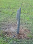 Tiaro cemetery, Fraser Coast Region