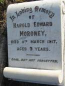 Harold Edward MORONEY
11 Mar 1917 aged 9
Toogoolawah Cemetery, Esk shire