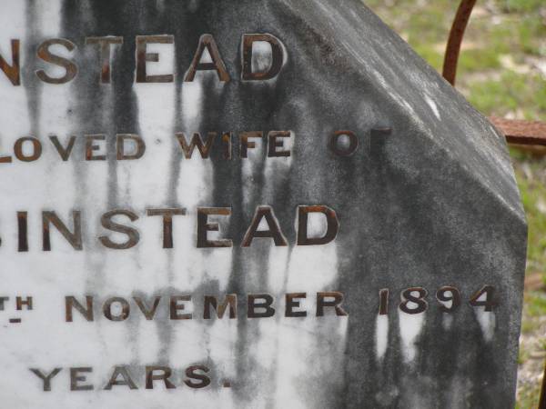 Mary BINSTEAD,  | wife of William BINSTEAD,  | died 10 Nov 1894 aged 66 years;  | William BINSTEAD,  | died 23 July 1903 aged 82 years;  | Upper Coomera cemetery, City of Gold Coast  | 