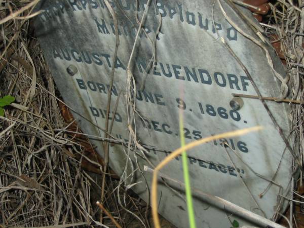 Augusta NEUENDORF  | born June 9 1860  | died Dec 25 1916  | Vernor German Baptist Cemetery, Esk Shire  | 