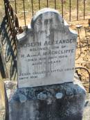 Joseph COLVIN
25 Apr 1897, aged 67
(wife) Ann COLVIN
24 Apr 1931, aged 84
Constance COLVIN
3 Jan 1965, aged 82
(husband) Joseph COLVIN
15 May 1970, aged 88
Samuel COLVIN
17 May 1914, aged 37
Alexander COLVIN
22 Jul 1960, aged 87
Elizabeth HEATHWOOD
2 Jan 1977, aged 92
Beryl Aston HEATHWOOD
3 Nov 1915, aged 2 years 10 months
Joseph Alexander HINCHCLIFFE
(son of H A and A HINCHCLIFFE
20 Nov 1904, aged 3 years
Wonglepong cemetery, Beaudesert