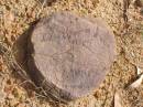 T??t?ary
?????
13.10
???
Woodhill cemetery (Veresdale), Beaudesert shire