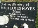 Maui James HAYES (Mooi)
son of Desiree and Tom Hayes
b: 9 Apr 1985
d: 23 Nov 2003
aged 18
Woodhill cemetery (Veresdale), Beaudesert shire